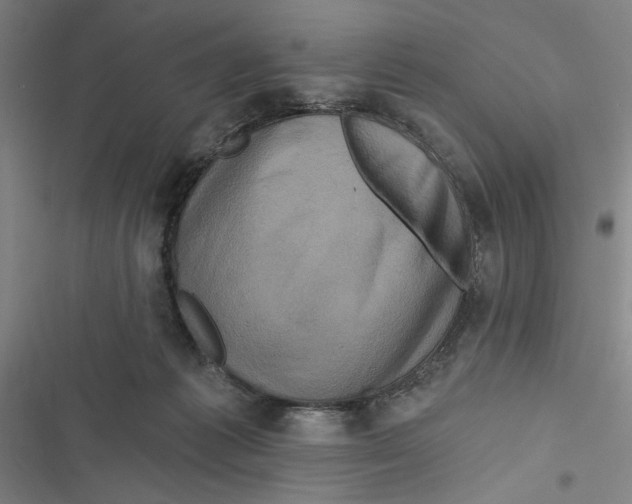 X0000116770221201001141457