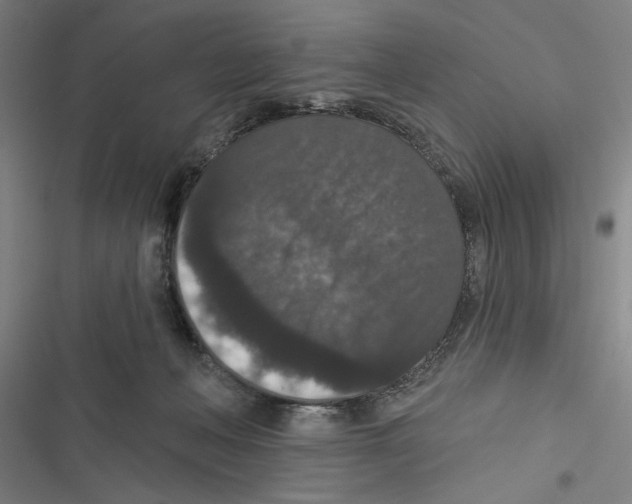 X0000116770222201001141457