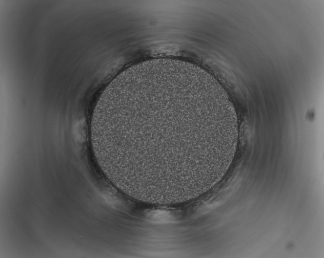 X0000116770224201001141457
