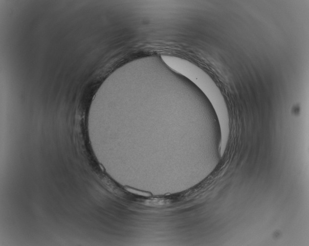 X0000116770225201001141457