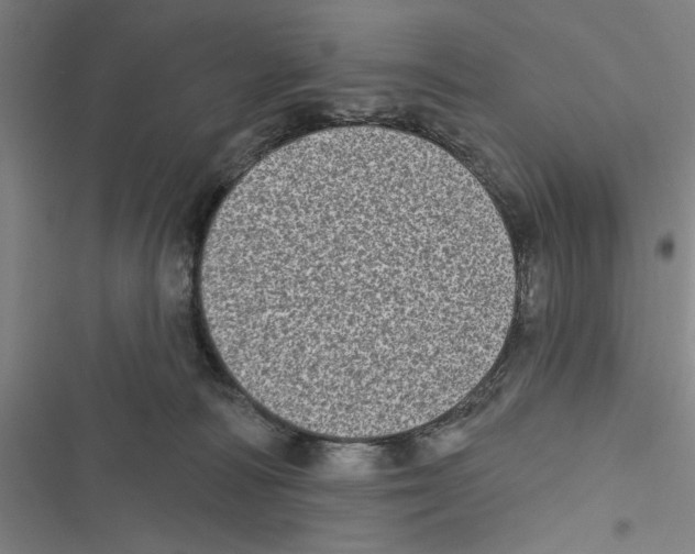 X0000116770226201001141457