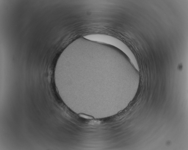 X0000116770227201001141457