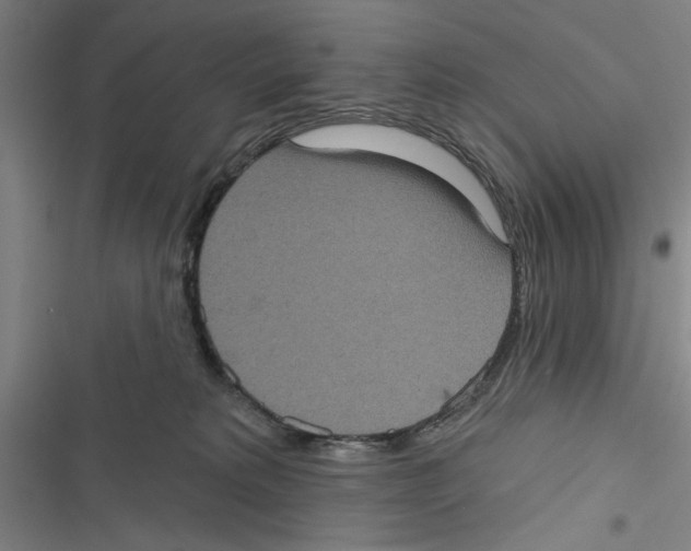 X0000116770229201001141457