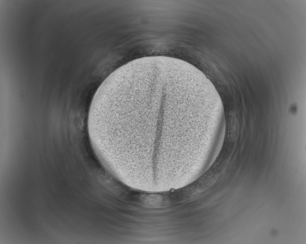 X0000116770230201001141457