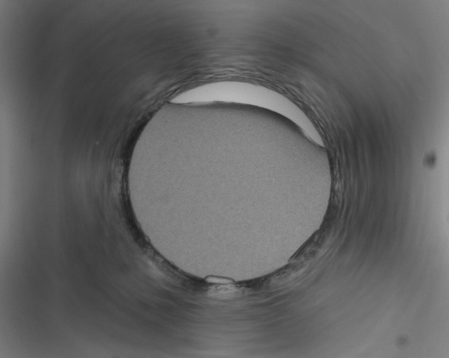 X0000116770231201001141457