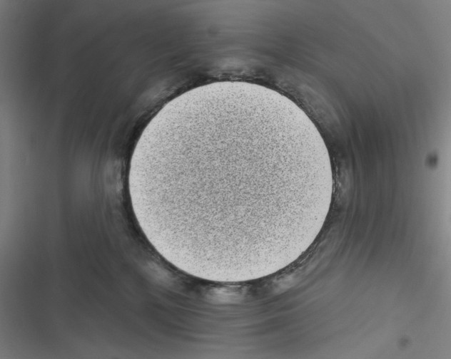 X0000116770232201001141457