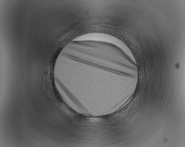 X0000116770233201001141457