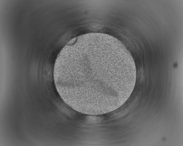 X0000116770234201001141457