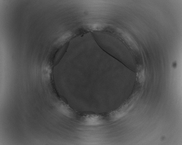 X0000116770235201001141457