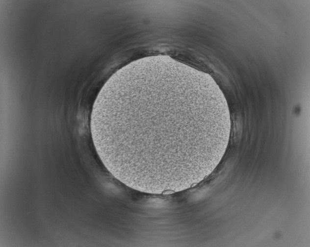 X0000116770236201001141457