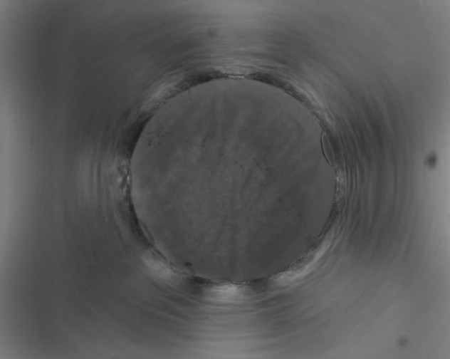 X0000116770237201001141457