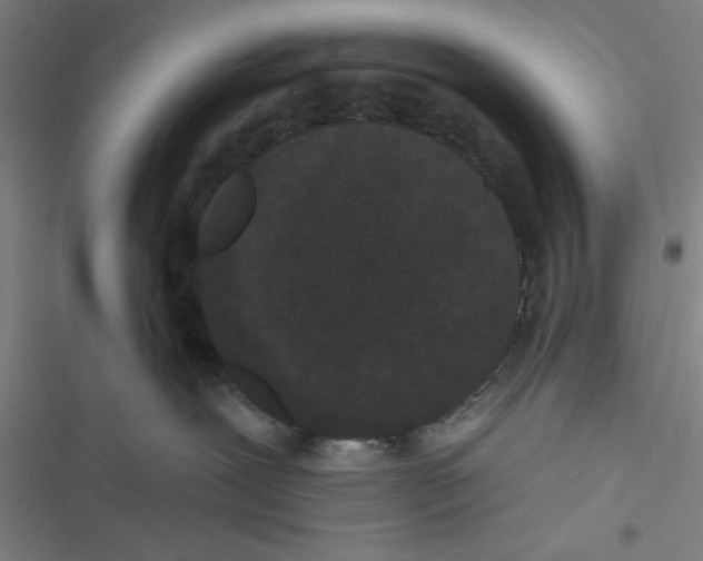 X0000116770239201001141457