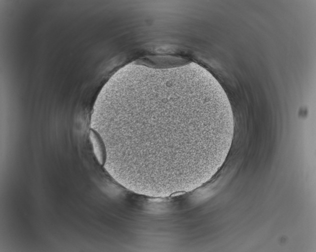X0000116770240201001141457