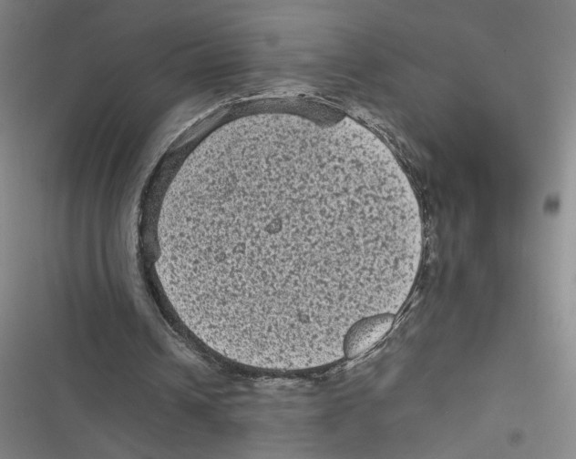 X0000116770242201001141456