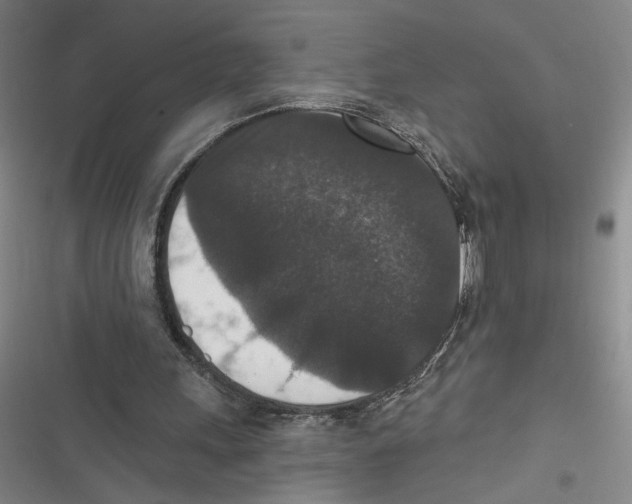 X0000116770243201001141456