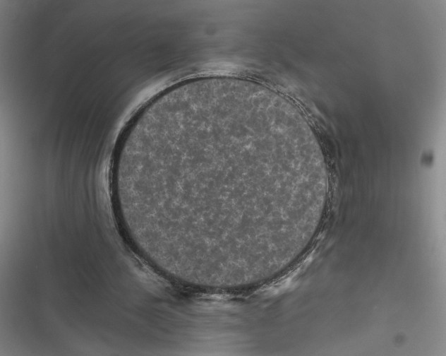 X0000116770244201001141456