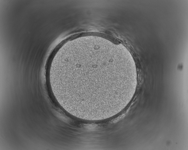 X0000116770246201001141456