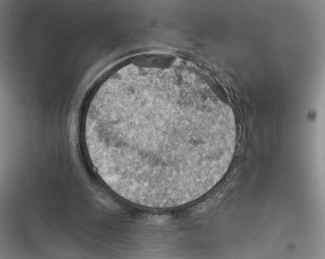 X0000116770247201001141456