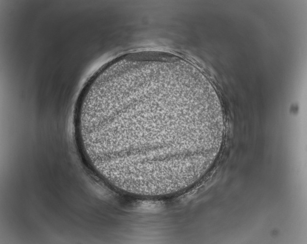 X0000116770248201001141456