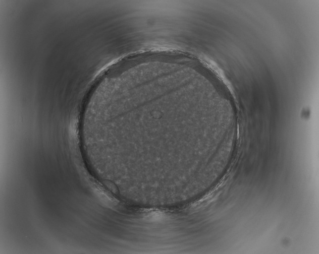 X0000116770249201001141456