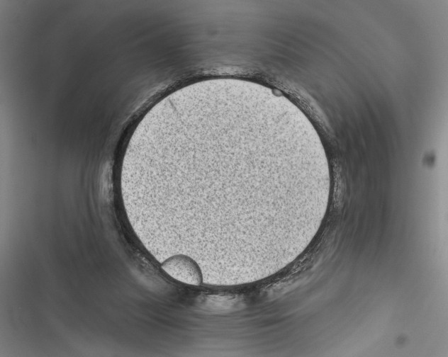 X0000116770251201001141456