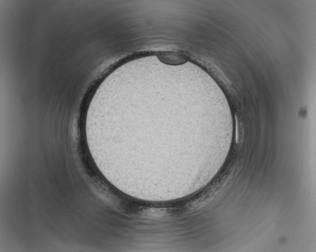 X0000116770252201001141456