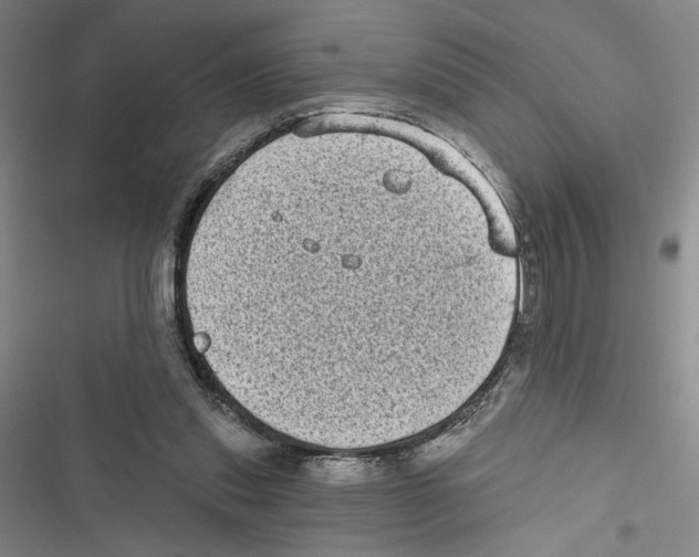 X0000116770253201001141457