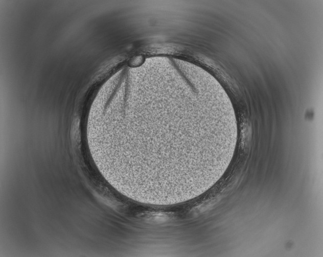 X0000116770254201001141457