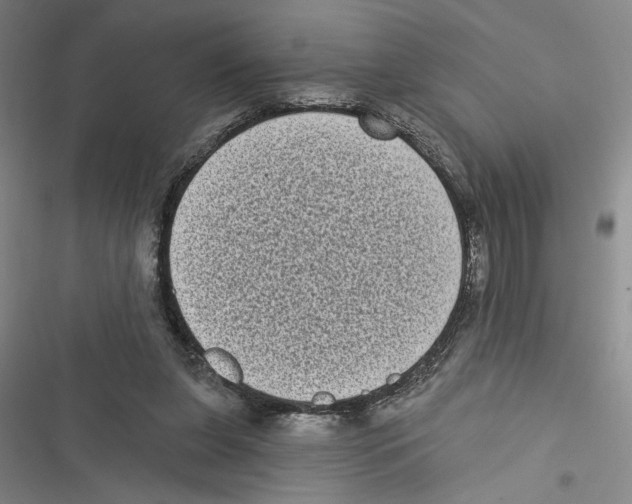 X0000116770255201001141457