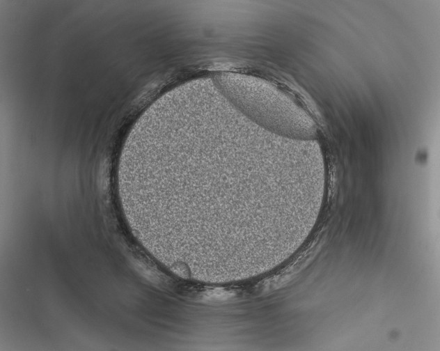 X0000116770257201001141457