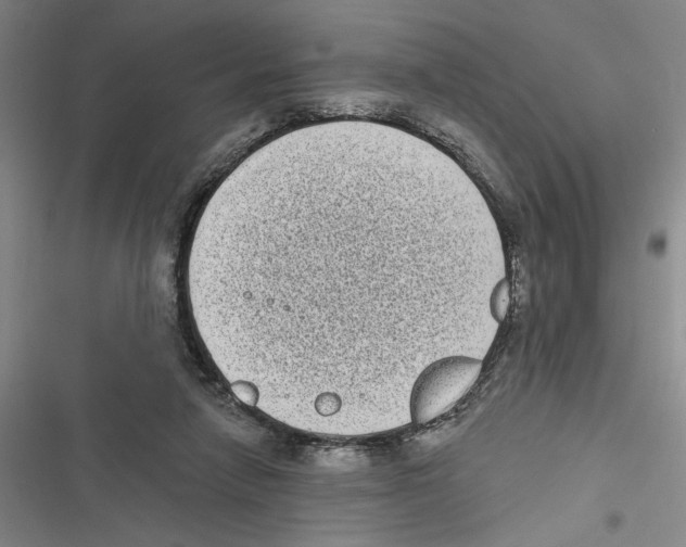 X0000116770258201001141457