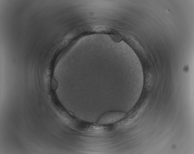 X0000116770260201001141457
