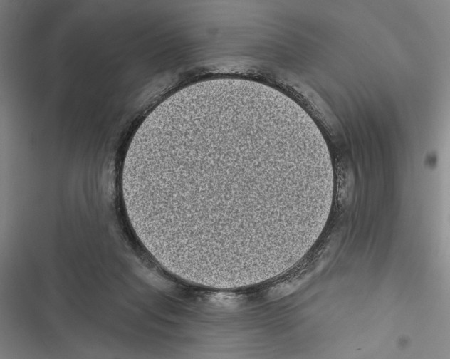 X0000116770261201001141457