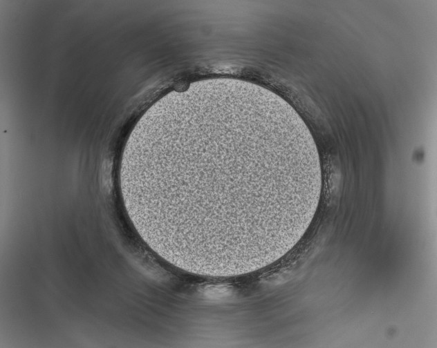 X0000116770262201001141457