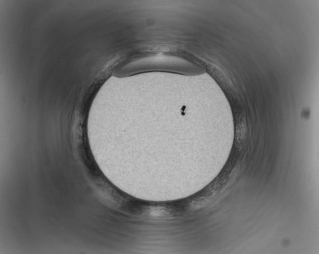 X0000116770264201001141457