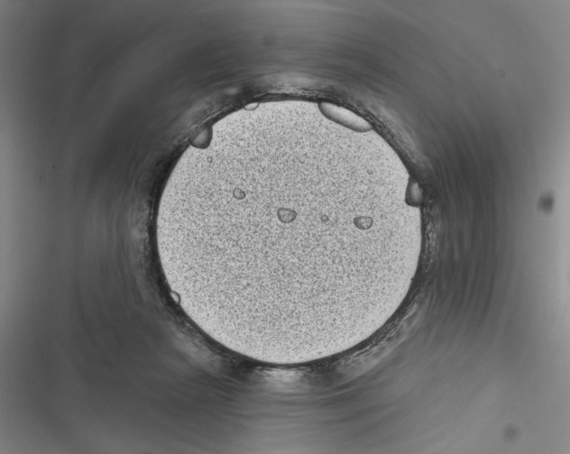 X0000116770265201001141457