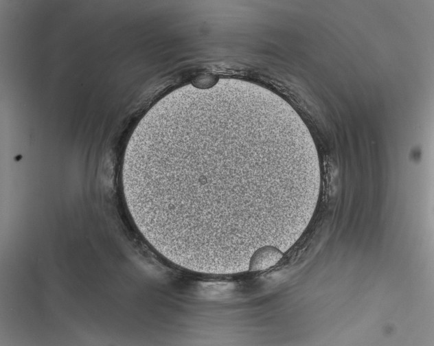 X0000116770266201001141457
