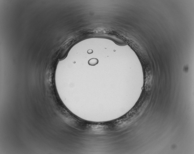 X0000116770268201001141457