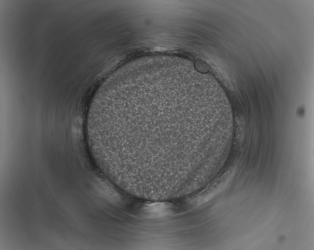 X0000116770269201001141457