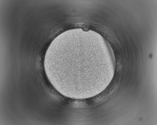 X0000116770270201001141457