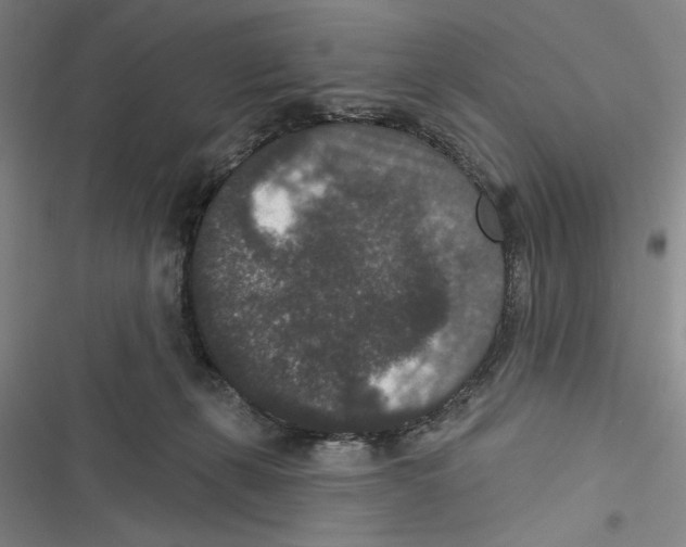 X0000116770271201001141457