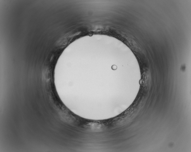 X0000116770272201001141457