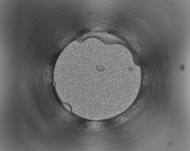 X0000116770273201001141457