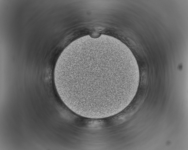 X0000116770274201001141457