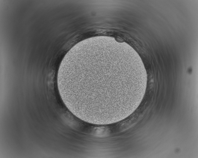 X0000116770275201001141457
