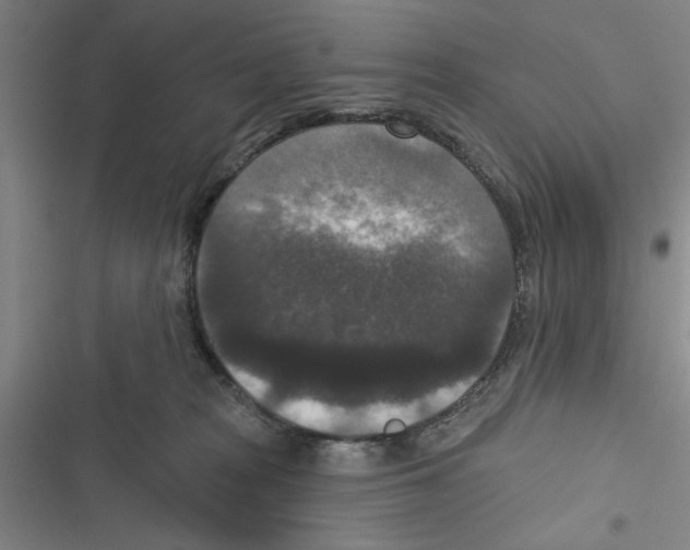 X0000116770277201001141457