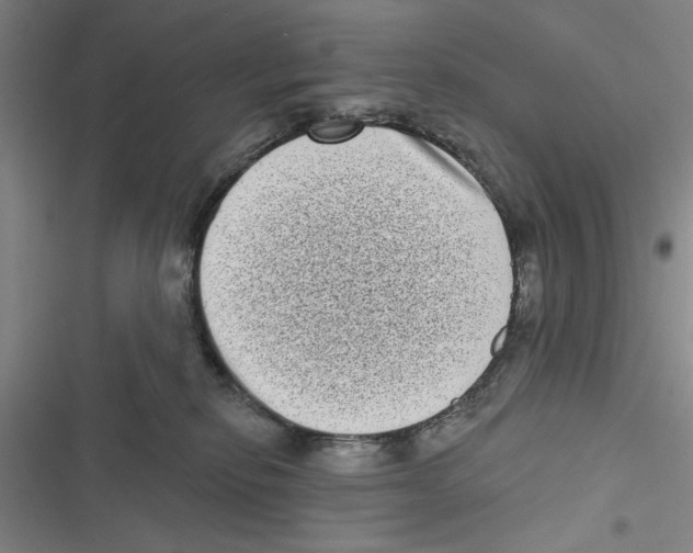 X0000116770278201001141457