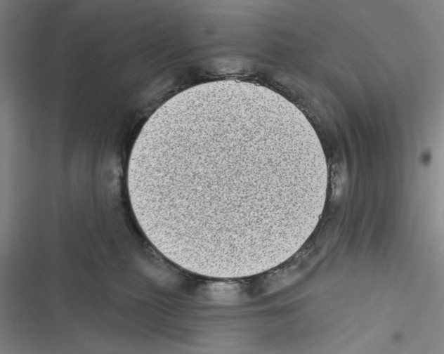 X0000116770279201001141457