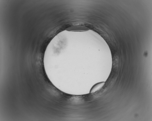 X0000116770280201001141457