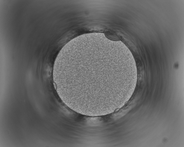 X0000116770281201001141457